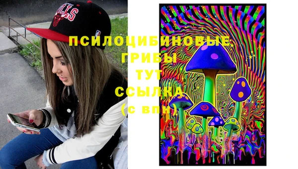 мет Магас