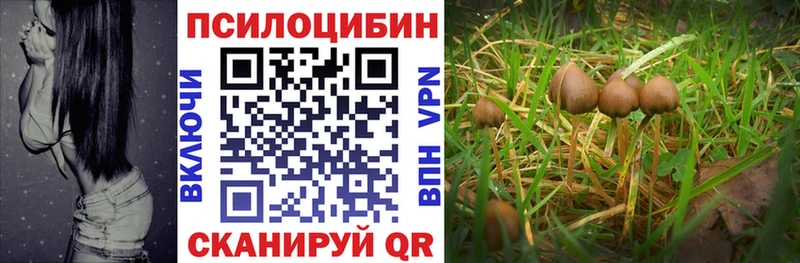 Псилоцибиновые грибы мухоморы  Купить где  Алушта 